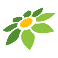 BORDER PNG ML